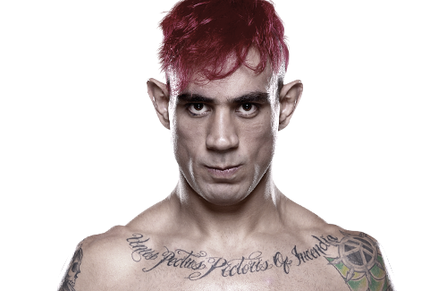 Augusto Montano