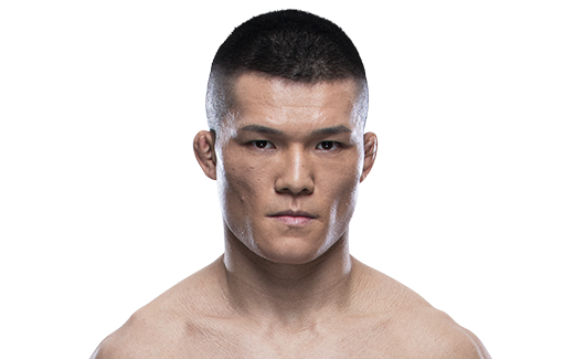 Liu Pingyuan